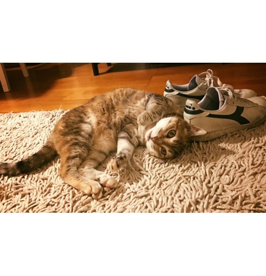 Bananeyes, lengthening and curving mascara for "naughty" lashes!